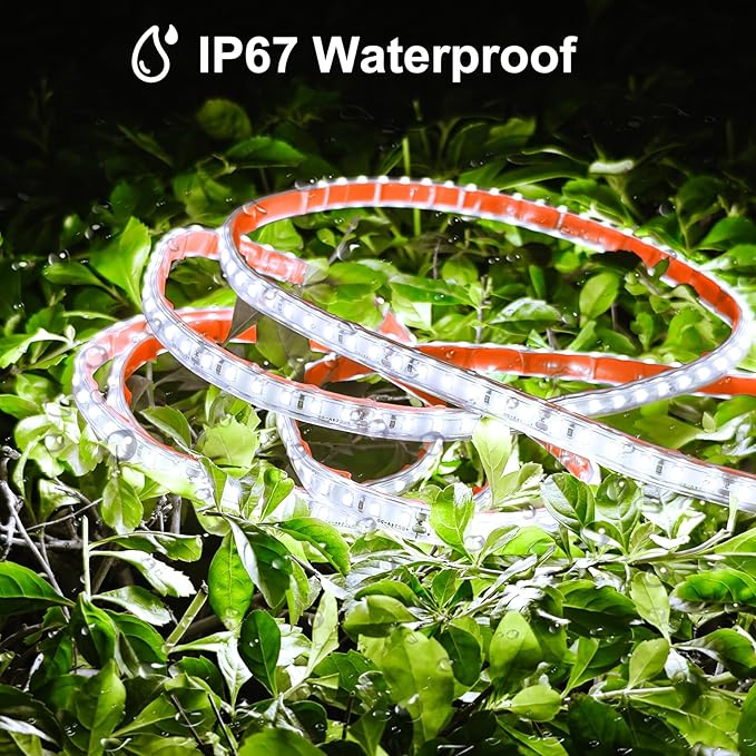 echosari 65.6Ft LED Strip Lights, 6000K Ultra-Bright Strip Lights with Timer Dimmable, 2400 LEDs Flexible Tape Lights Outdoor Waterproof Light Strip for Pool Pathway Balcony Patio (Cool White)