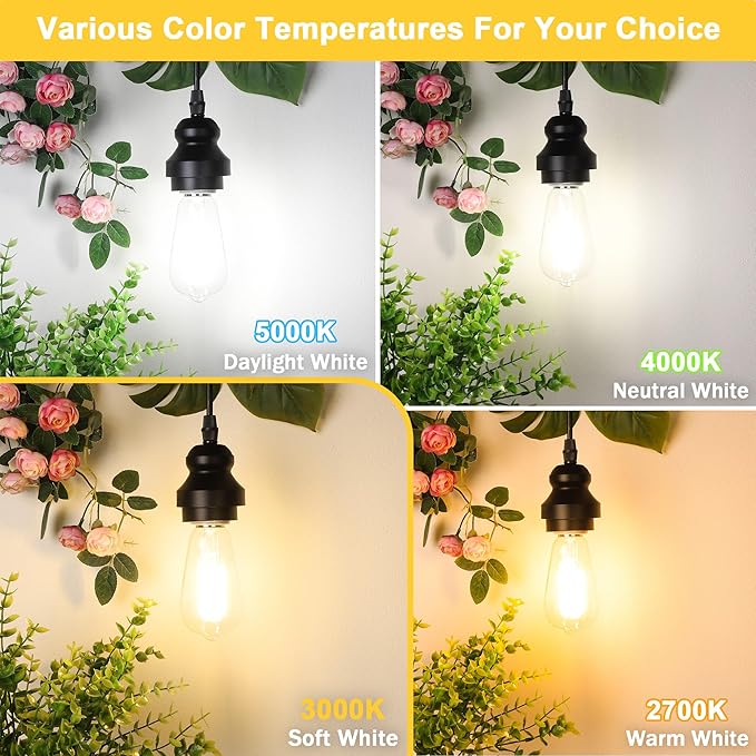 Vintage Edison Bulbs 60W Equivalent 850LM, 6W LED Light Bulb Soft White 3000K, ST58 Filament Lighting E26 Base, Non-Dimmable, Pack of 6