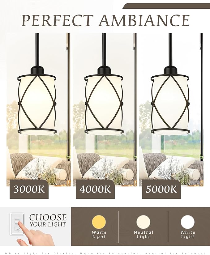 Glass Pendant Lights Kitchen Island, 2 Pack Modern Black Pendant Light Fixtures with Frosted Glass and Rod, Mid Century Cage Pendant Light for Kitchen Sink Dining Room, CH9176BKW-2PK