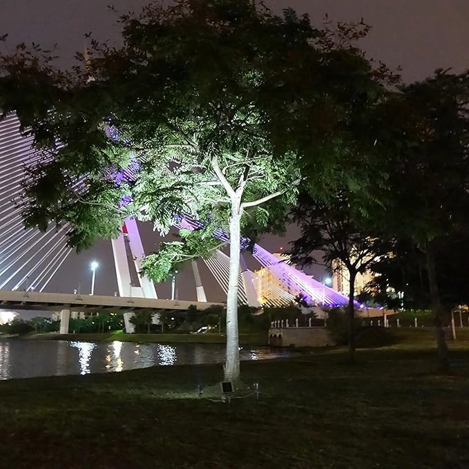 Mini 50X Twin Solar-Powered Flag Pole Light Cast Aluminium Cool White LED Spotlight 60-100 Lumen Per Light Fixture for Outdoor Garden Yard Landscape Downlight