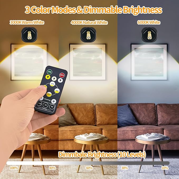 LED Spotlight with Remote, Battery Operated Picture Light Wall Lights Puck Light with Timer, Rechargeable Spot Lights with 3CTT, Dimmable Art Lights for Paintings,2 Pack
