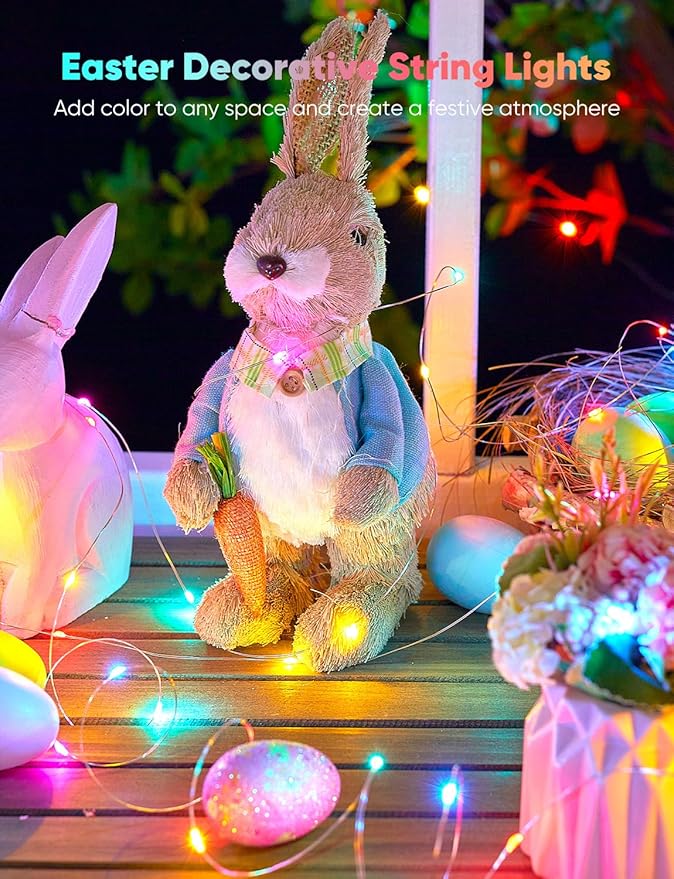 Minetom Fairy Lights Color Changing - 33FT 100 LED String Light with Remote, 16 Single Colors & 6 Holiday Colors,12 Modes, USB Fairy Lights for Bedroom, Easter Light for Indoor Classroom Christmas