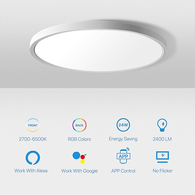 MELEGAN 2Pcs RGB Smart Ceiling Light, Super Slim LED Flush Mount Ceiling, WiFi Compatible with Alexa Google Home,12Inch 24W Dimmable 2700K-6500K for Bedroom, Kitchen, Dining Room, Basements
