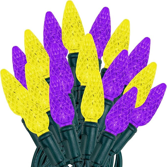 Novelty Lights 24FT 70 LED C6 LED Christmas String Lights, Commercial Grade LED String Lights, Permanent Christmas Lights, Outdoor Tree Decorations (Purple/Yellow)