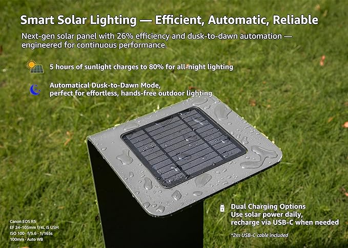 Outdoor Floor Lamp,Solar Lights Outdoor,Solar Lanterns Outdoor Waterproof IP65,2200mAh Li-ion Battery Smart Lamp,Outdoor Lantern for Backyard Decor,Table Lamp for Patio Decor,Black Lamp,Large