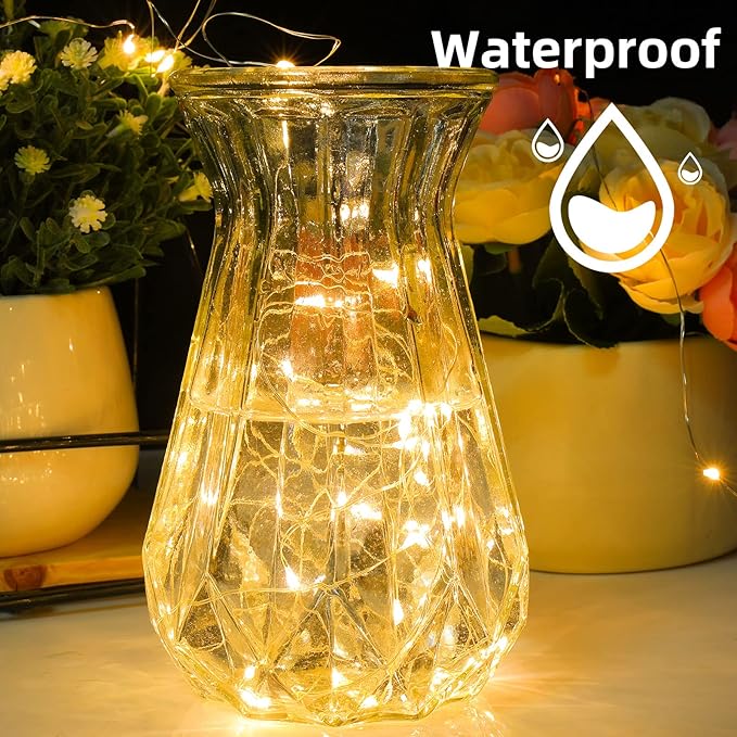 mandiq 2 Pack Fairy Lights 100 LED 33 FT Christmas Lights USB Powered Silver Wire String Lights, Mini Lights with Remote Control are Suitable for Home Decorations (Warm White)
