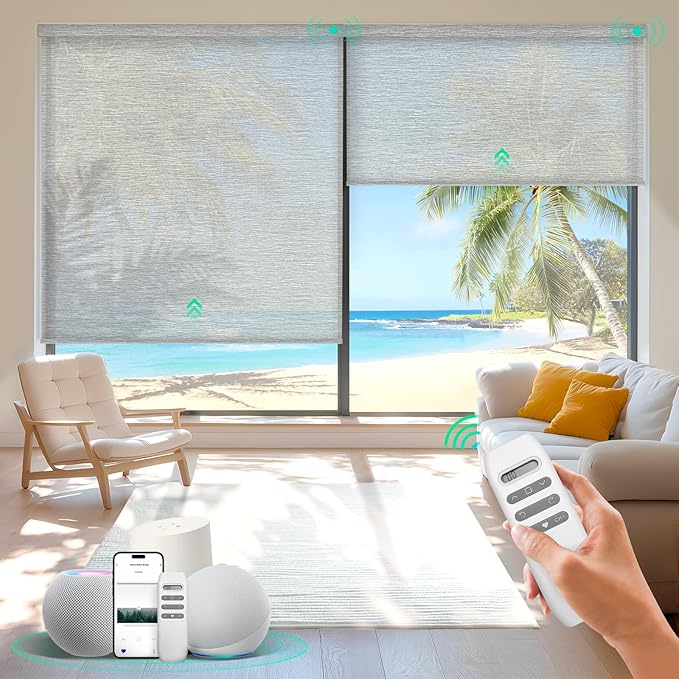 HeyBlinds Motorized Roller Shades, Smart Blinds for Windows, Remote Automatic Window Shades, Electric Shades, Light Filtering, Compatible with Alexa Google Apple Home (Light Chaser-Silver Gray LF)