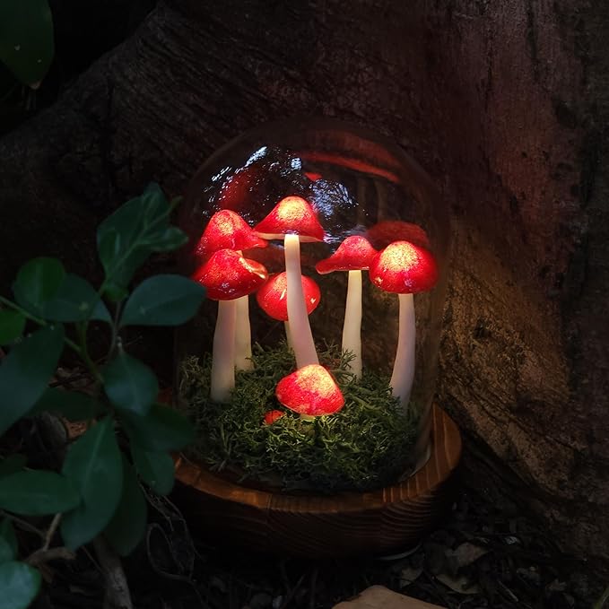 Mushroom Lamp, Decor LED Light in Glass Dome with Base for Home Bedroom Decor Birthday with Birthday Valentines Anniversaries Gifts Box (red)