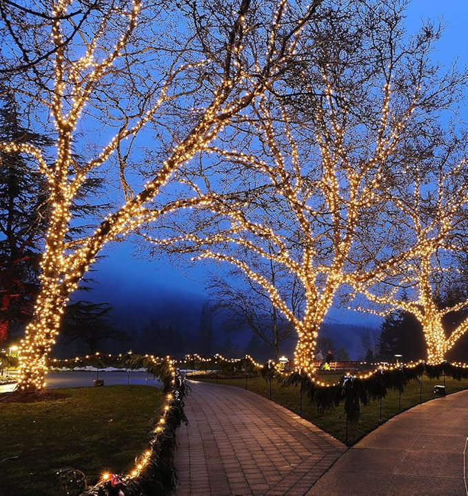 Novelty Lights 24FT 70 LED C6 Christmas String Lights, Outdoor Commercial Grade Tree Decorations, Permanent LED Lights (Warm White)