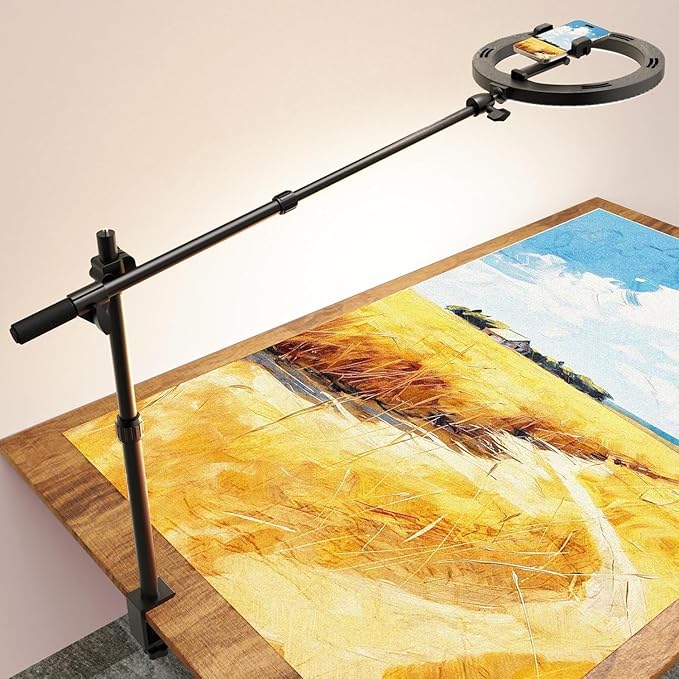 Ring Light Overhead Phone Camera Mount for Desk Tripod - 10" Ring Light with Stand - Solid Ringlight with Clamp for Artist Drawing, Video Recording, Live Streaming