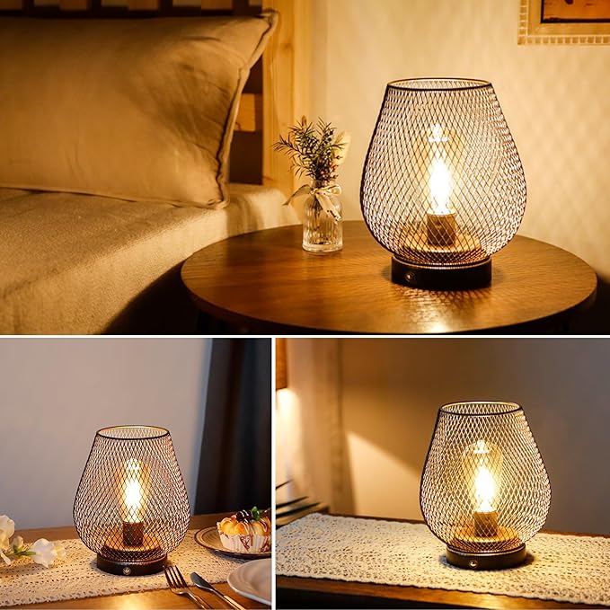 JHY DESIGN Dimmable Touch Bedside Table Lamp Rechargeable Battery Powered Lamp with LED Bulb Cordless Accent Lamp for Weddings Parties Patio Events for Indoors Outdoors(Metal Base, Bronze Egg)