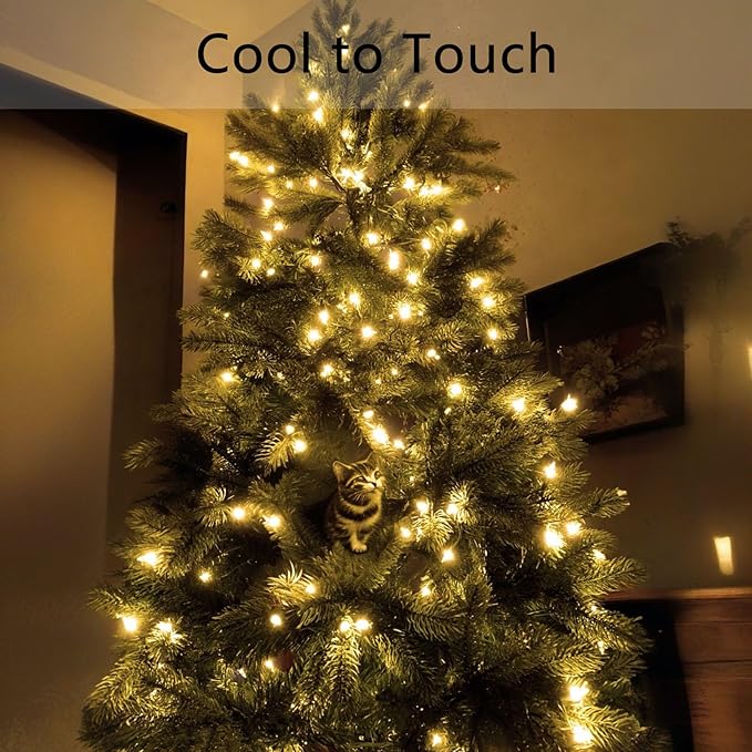 Warm White LED Christmas Lights Outdoor– 50ft 100 Counts Commercial Grade Outdoor Waterproof Green Wire Tree Lights, 5mm Wide Angle Plug in for Xmas, UL, IP:65