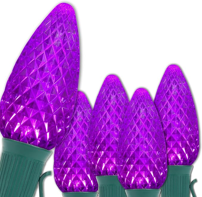 Wintergreen Lighting 25 OptiCore Commercial Outdoor C9 LED Outdoor Christmas Halloween Lights – 25 ft Purple, 3-Year Warranty, Polycarbonate, Commercial Shatterproof