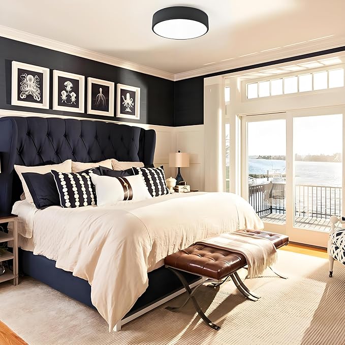 Modern Black Flush Mount Ceiling Light, 2-Lights Round Ceiling Light, Minimalistic Ceiling Lamp Acrylic Shade Lighting Fixture for Bedroom Laundry Room Bathroom Hallway(11.8 Inch)