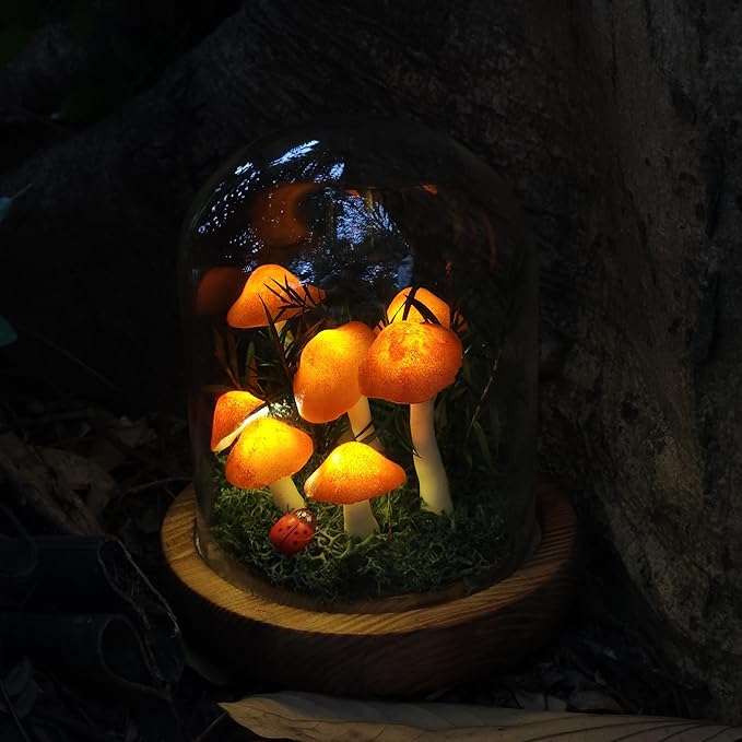 Mushroom Lamp, Decor LED Light in Glass Dome with Base for Home Bedroom Decor Birthday with Birthday Valentines Anniversaries Gifts Box (Orange)