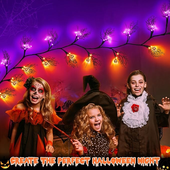6 FT 54 LED Halloween Lights, 8 Modes & Timer Battery Operated Halloween Pumpkins Bats Lights with Willow Vine Twig Garland, 3D Waterproof Decorations Lights for Indoor Wall Party Fireplace Mantle