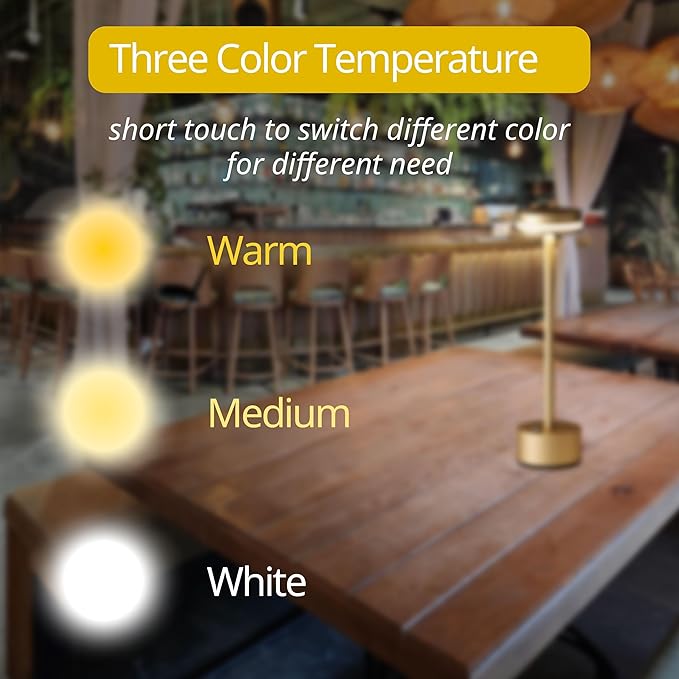 Portable Rechargeable Bedside Lamp, Touch Stepless Dimmable Desk Lamp, Cordless Table Lamp, Ideal for Home, Bedroom, Hotel, Restaurant, Bar, Outdoor, 1 Pack (Gold)