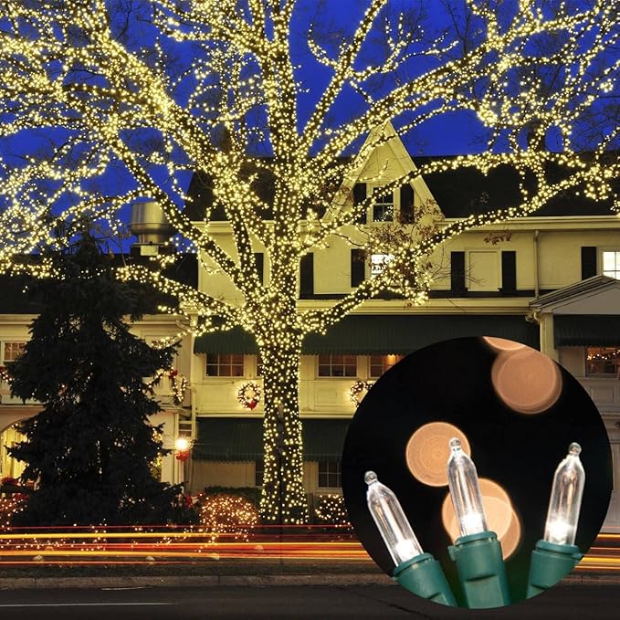 LAMPHOME 100 Mini LED Count Warm White - String Lights - 21.6FT LED ChristmasLights, Mini led Lights for Home Holiday Party Wedding Independence Day Decoration