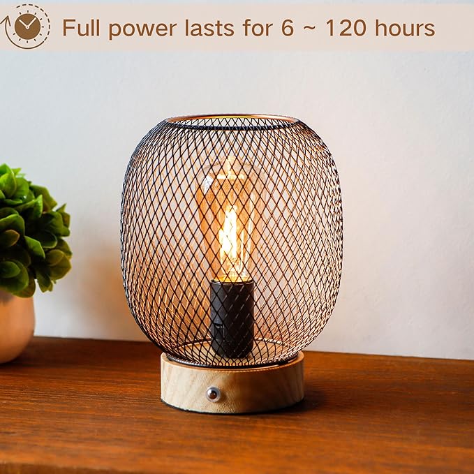 JHY DESIGN Dimmable Touch Bedside Table Lamp Metal Cage Rechargeable Battery Powered Lamp with LED Bulb for Weddings Parties Patio Events for Indoors Outdoors(Round, Wooden Base)