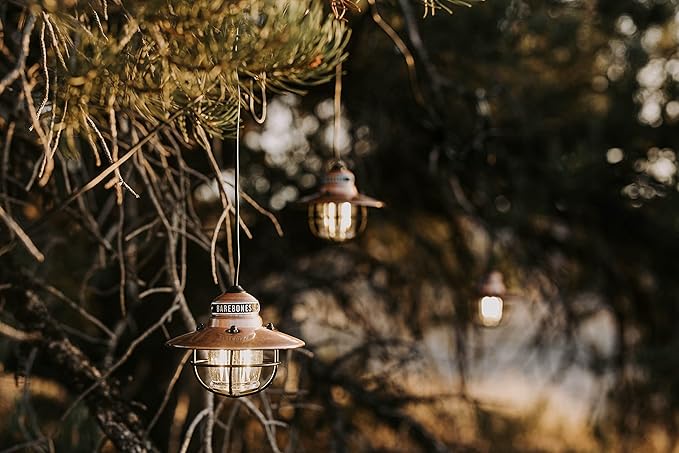 Barebones Edison Pendant Light – Copper, Vintage Rustic USB LED Hanging Light for Outdoor and Indoor Use – Adjustable Height String Lantern with Warm Edison Bulb Glow for Patio, Home, or Garden