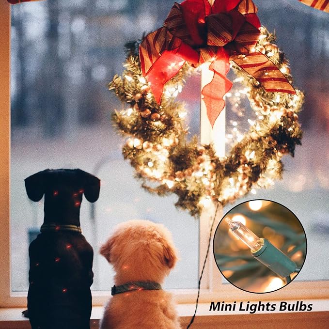 Minetom Clear Christmas String Lights 3 Pack 20 Feet 100 Counts Warm Mini Lights for Christmas Indoor Outdoor Patio Wreath Garden Wedding Party Thanksgiving Holiday Decorations, Green Wire