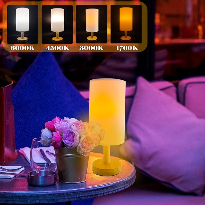 Wireless Bedside Table Lamp with 2Pcs E26 Rechargeable Battery Bulb, Remote Control, Dimmable, Timer, Cylindrical Light for Living Room, Bedrooms, Reading, Night Lighting