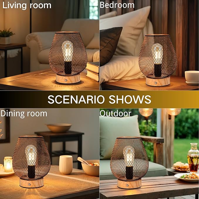 JHY DESIGN Dimmable Touch Bedside Table Lamp Metal Rechargeable Battery Powered Lamp with LED Bulb for Weddings Parties Patio Events for Indoors Outdoors(Bronze Egg, Wooden Base)