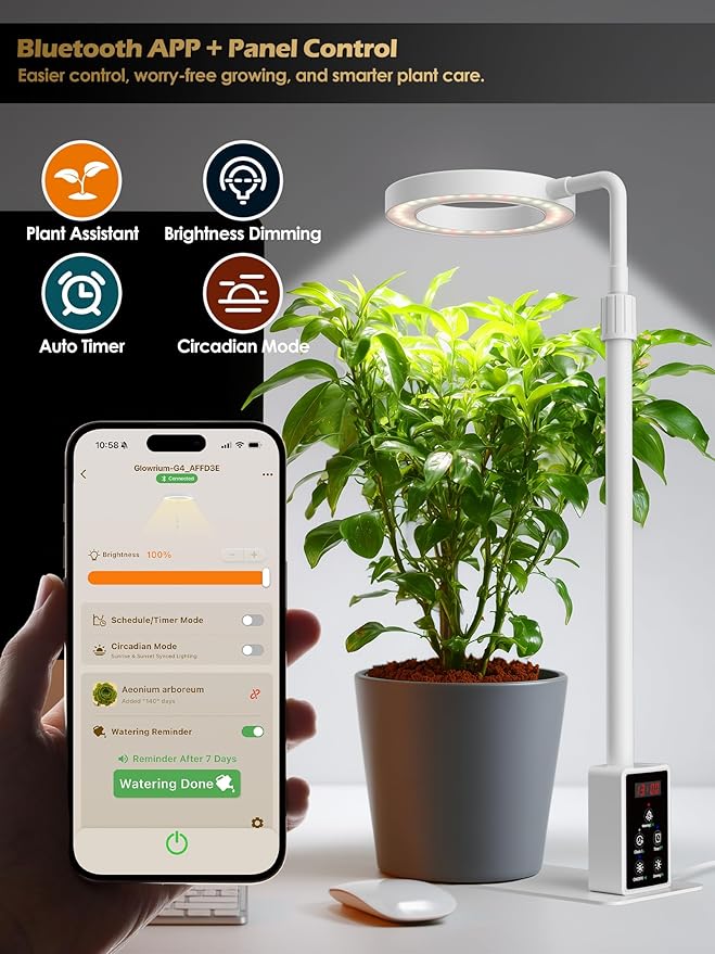 Smart Grow Lights for Indoor Plants, Plant Light with Auto-Timer, Full Spectrum LED Grow Light, Adjustable Height & Stepless Dimming,Plant Assistant Suitable for Most Plants (White, 12W)