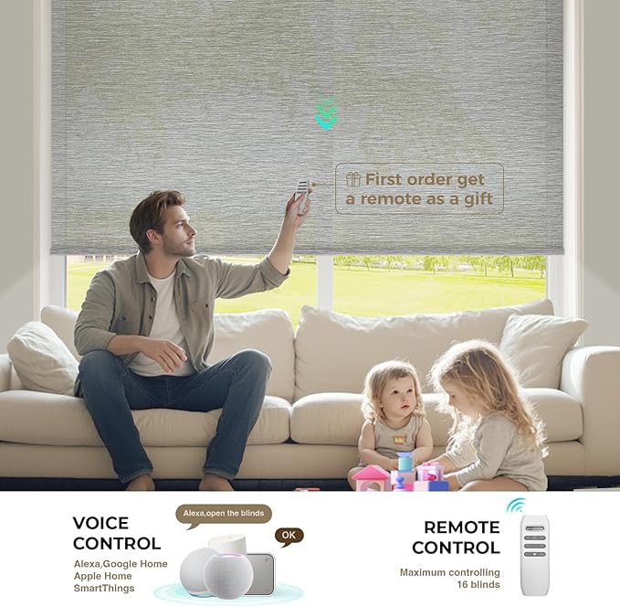 HeyBlinds Motorized Roller Shades, Smart Blinds for Windows, Remote Automatic Window Shades, Electric Shades, Light Filtering, Compatible with Alexa Google Apple Home (Light Chaser-Silver Gray LF)