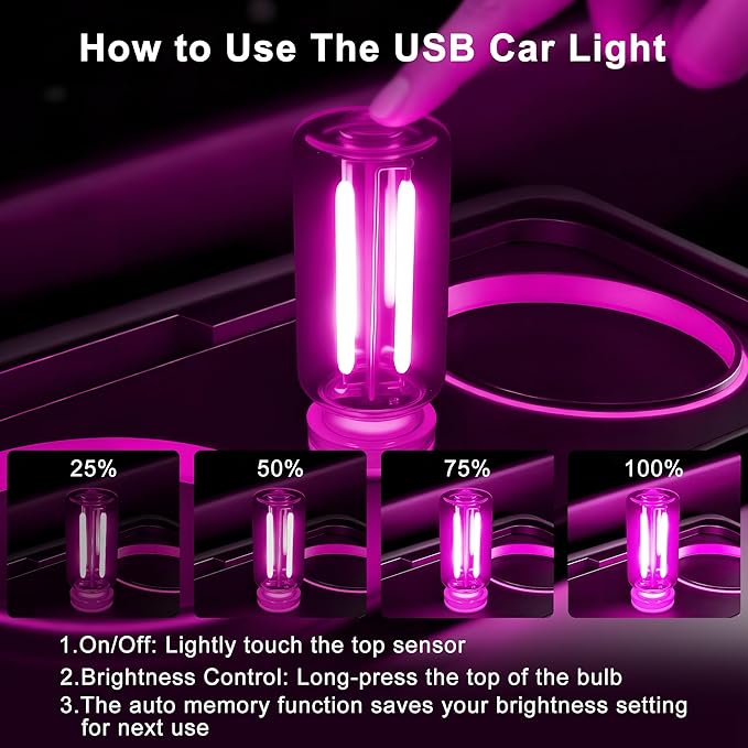 Car USB Night Light Touch Dimmable - 2-Pack Retro LED Filament Lamp for Truck Interior, Bedroom & Camping | Glass Bottle Ambiance Lighting (Pink)