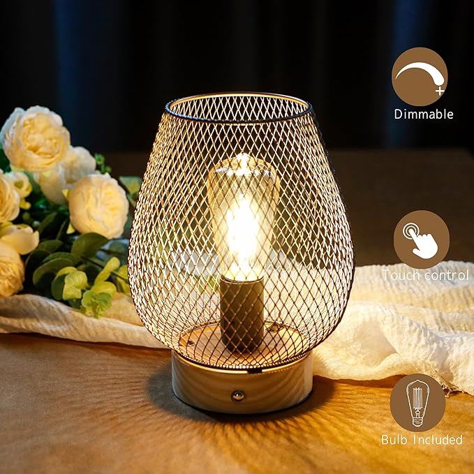 JHY DESIGN Dimmable Touch Bedside Table Lamp Metal Rechargeable Battery Powered Lamp with LED Bulb for Weddings Parties Patio Events for Indoors Outdoors(Bronze Egg, Wooden Base)