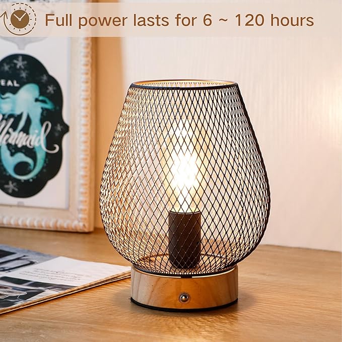 JHY DESIGN Dimmable Touch Bedside Table Lamp Metal Rechargeable Battery Powered Lamp with LED Bulb for Weddings Parties Patio Events for Indoors Outdoors(Bronze Egg, Wooden Base)