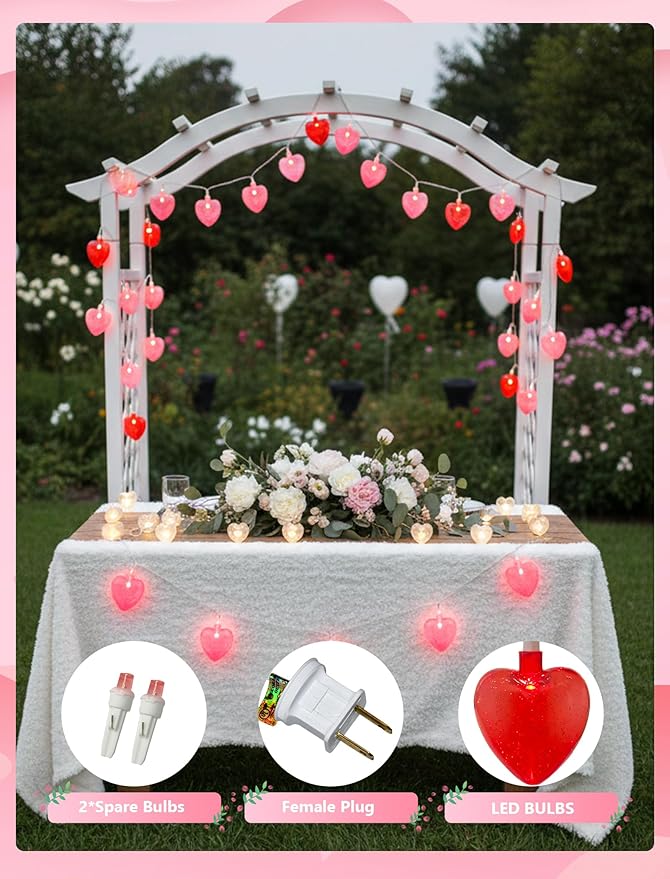 LED Heart String Lights, 8.5Ft Valentine's Day Heart String Lights with 10 Red /Pink Hearts, Romantic Love Heart Lights for Valentine's Day, Mother's Day, Party Decor, Wedding, Holiday Decorations