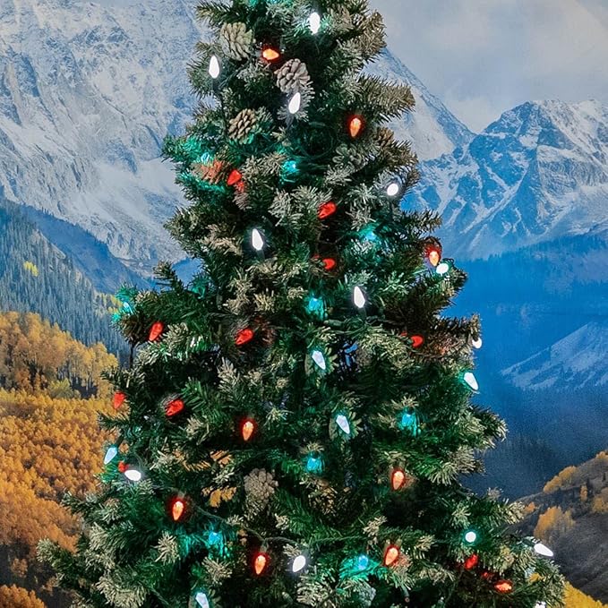 Novelty Lights 24FT 70 LED C6 Christmas String Lights, Outdoor Indoor Commercial Grade Tree Decorations (Red/Green/Pure White)