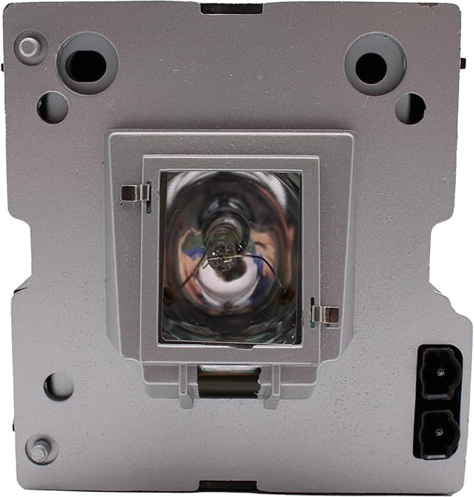 Advanced Lamps™ Lamp & Housing for The Runco VX-22d Projector
