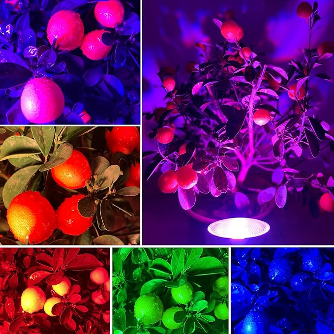 Par38 Color Changing Flood Light Bulbs, Outdoor/Indoor Dimmable E26 30W LED Remote Control Bulb for Valentine's Day Home Party Decoration(RGB+Warm White)