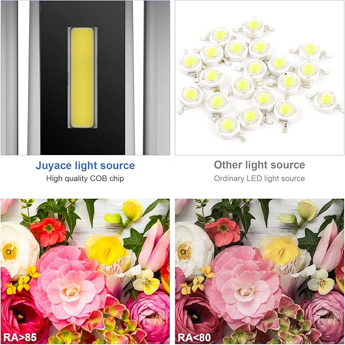 Juyace 20W LED Modern Wall Sconce Outdoor Lighting 6000K Up Down Angle-Adjustable White Exterior Light Fixtures with US Mount Plate Aluminum for House Front Patio Garage Door 2 Pack