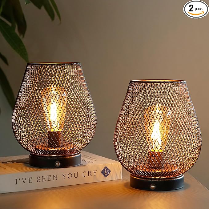 JHY DESIGN Dimmable Touch Bedside Table Lamp Set of 2 Rechargeable Battery Powered Lamp with LED Bulb Cordless Accent Lamp for Weddings Parties Patio Events Indoors Outdoors(Metal Base, Bronze Egg)