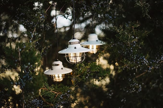 Barebones Edison Pendant Light – Vintage White, Vintage Rustic USB LED Hanging Light for Outdoor and Indoor Use – Adjustable Height String Lantern with Warm Edison Bulb Glow for Patio, Home, or Garden
