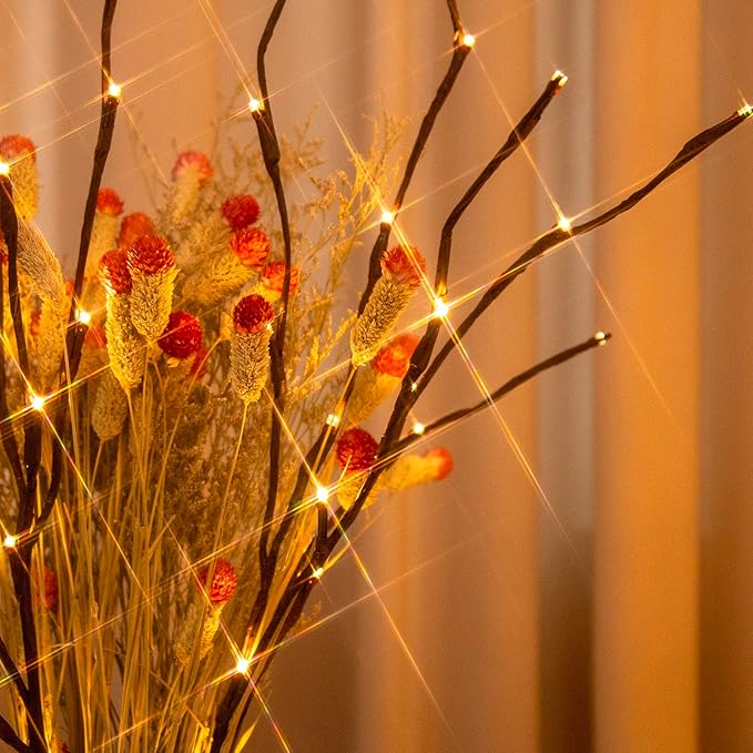 PEIDUO Lighted Branch, 30Inch 2PK 40 LED Pathway Lights, Battery Operate with Timer, for Christmas Decorations Indoor Outdoor Room Apartment Stake Lights for Lawn