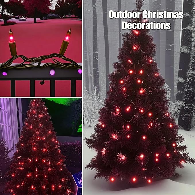 HISHINY Christmas Lights 100 Count Red Christmas Tree String Lights with White Wire for Outdoor Indoor Christmas Decorations Wedding Decorations Valentines Day Decor,UL Certified (21feet)