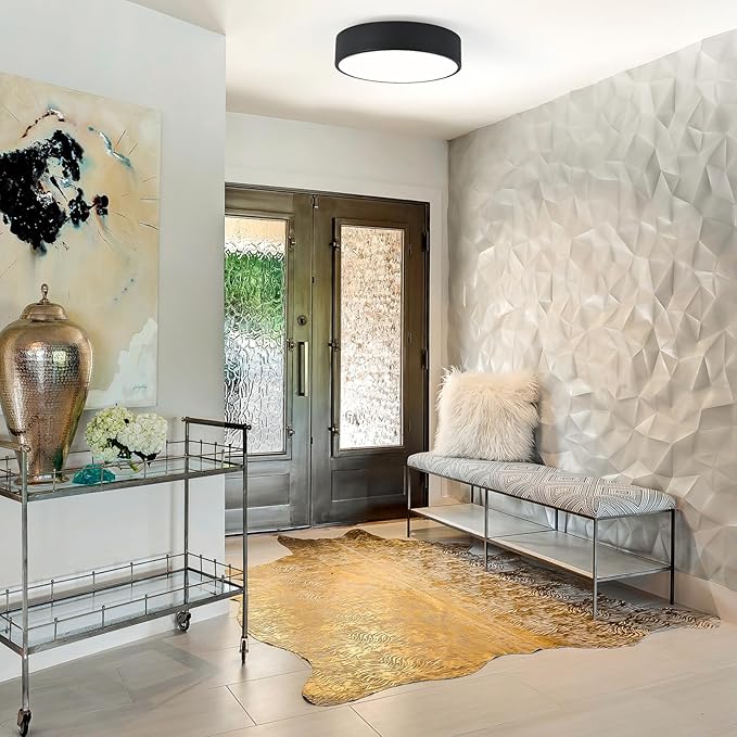 Modern Flush Mount 2-Light Round Black Ceiling Light Fixture, Minimalistic Acrylic Shade Lighting for Bedroom, Laundry Room, Foyer, Hallway (11.8")