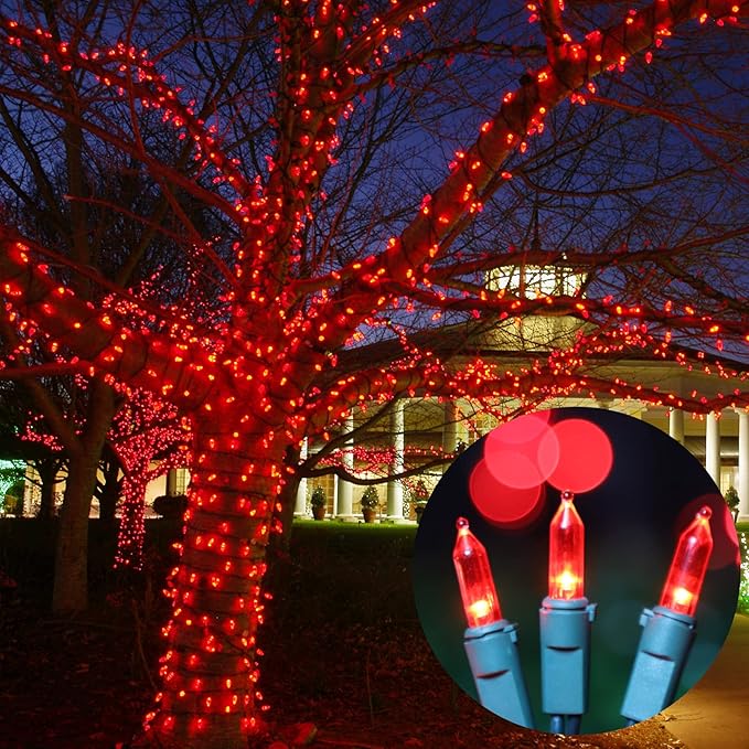 LAMPHOME 21.6ft 100 LED Red Valentine Lights, Connectable Valentine Room Light Indoor Plug-in, Green Wire Red Christmas String Light Outdoor Waterproof for Valentines Day Bedroom, Party,Wedding