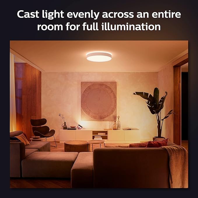 Enrave L Hue Ceiling lamp White NAM