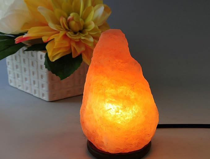 AMOYSTONE Portable Salt Lamp 6-7 Inch, Natural Himalayan Crystal with Wood Base & Dimmer(4-6 lbs)