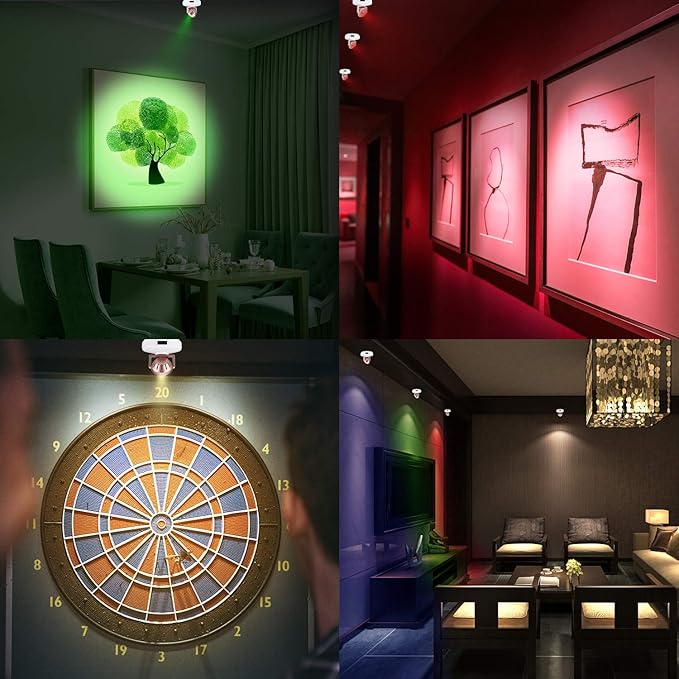 BIGMONAT Wireless LED Spotlight Battery Powered, Dimmable Accent Lighting for Picture Artwork, Rechargeable Color Changing Up Light for Painting Tree Plant Dartboard with Remote and Timer
