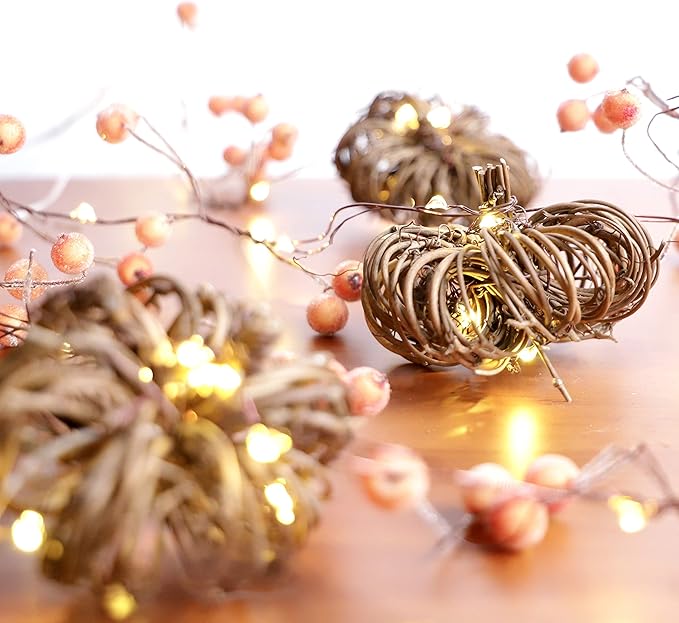 Nature Rattan Pumpkin Lights - 10FT 30 LED Cozy Fall Garland with Lights Battery Operated Charming Thanksgiving Decorations with Remote - Ideal Thanksgiving Garland Fall Decorations for Home