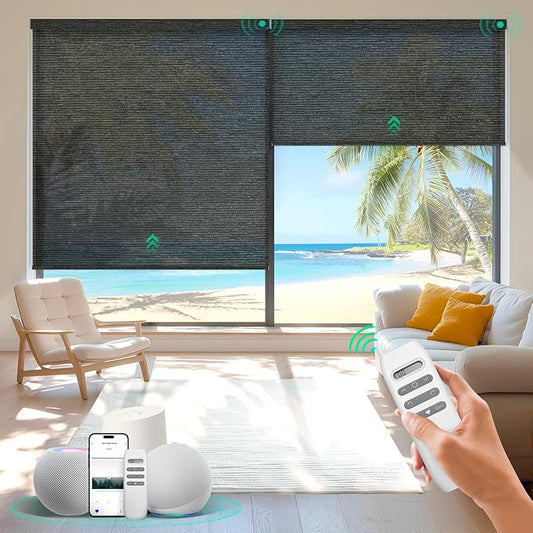 HeyBlinds Motorized Roller Shades, Smart Blinds for Windows, Remote Automatic Window Shades, Electric Shades, Light Filtering, Compatible with Alexa Google Apple Home (Light Chaser-Anthracite LF)