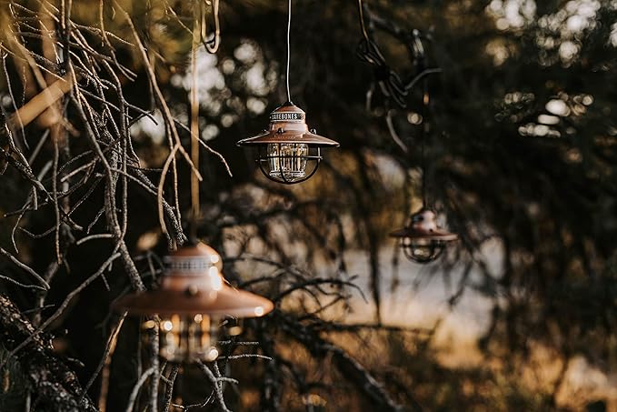 Barebones Edison Pendant Light – Copper, Vintage Rustic USB LED Hanging Light for Outdoor and Indoor Use – Adjustable Height String Lantern with Warm Edison Bulb Glow for Patio, Home, or Garden