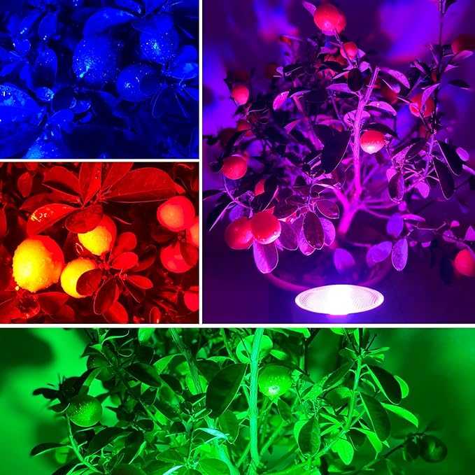 PAR38 Flood Light Bulbs,Remote Control 30W LED Color Changing Bulb,100W Equivalent Garden Lamps for Valentine's Day Home Party Decoration(RGB+Nature White)